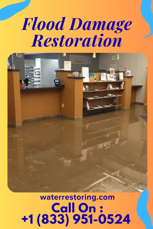 Flood Damage Restoration in Claypool Hill, VA