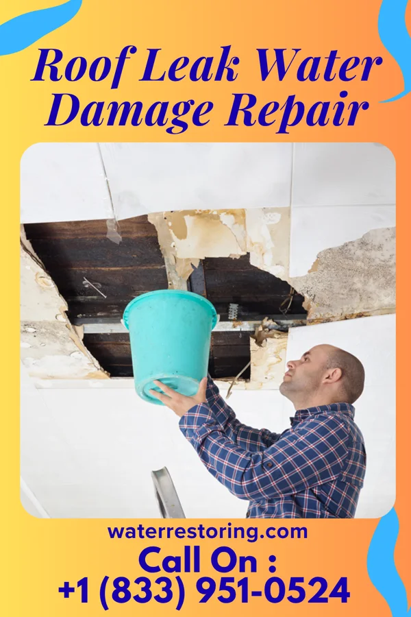 Roof Leak Water Damage Repair in Claypool Hill, VA