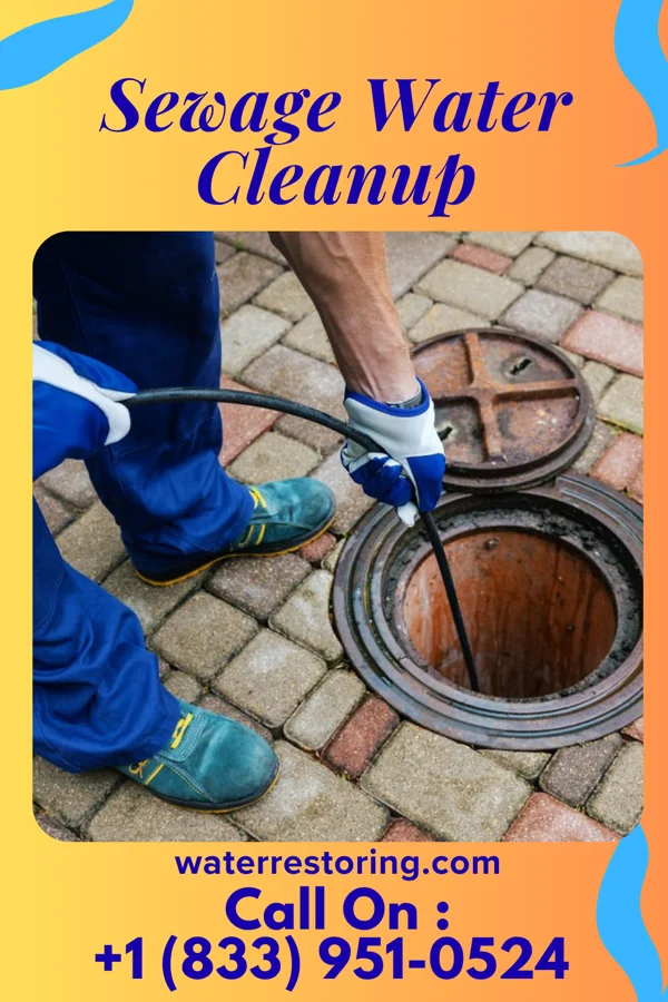 Sewage Water Cleanup in Claypool Hill, VA