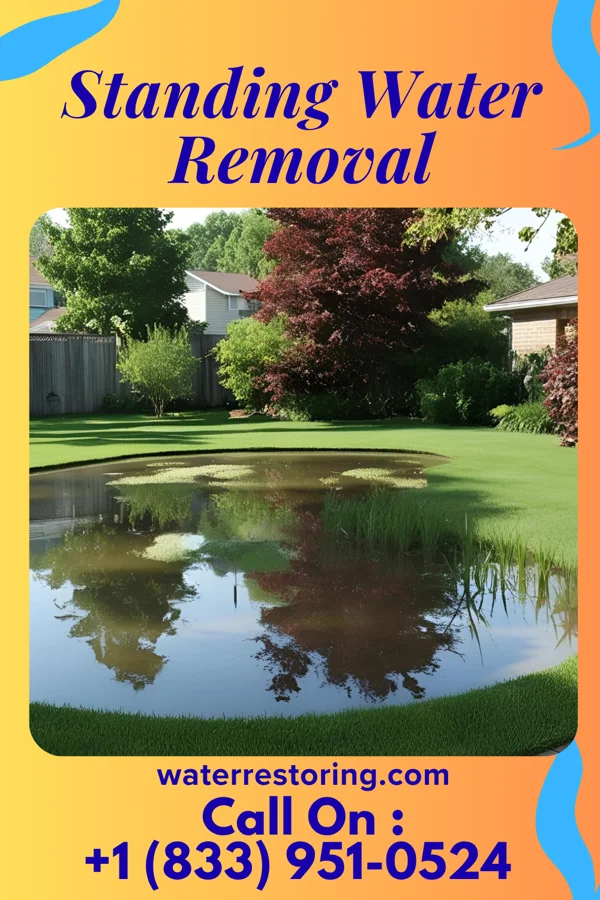 Standing Water Removal in Claypool Hill, VA